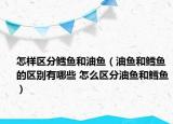 怎樣區(qū)分鱈魚和油魚（油魚和鱈魚的區(qū)別有哪些 怎么區(qū)分油魚和鱈魚）