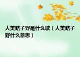 人美路子野是什么歌（人美路子野什么意思）