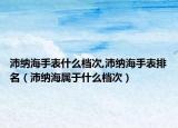 沛納海手表什么檔次,沛納海手表排名（沛納海屬于什么檔次）