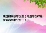 朗逸到底該怎么選（朗逸怎么樣給大家簡單的介紹一下）