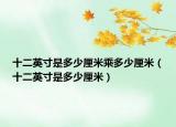十二英寸是多少厘米乘多少厘米（十二英寸是多少厘米）