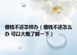 借錢不還怎樣辦（借錢不還怎么辦 可以大概了解一下）