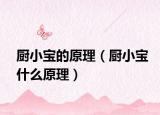 廚小寶的原理（廚小寶什么原理）
