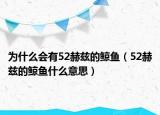 為什么會(huì)有52赫茲的鯨魚（52赫茲的鯨魚什么意思）