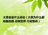 大象走是什么運(yùn)動(dòng)（大象為什么都踮腳走路 動(dòng)物世界 行者物語）