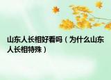 山東人長(zhǎng)相好看嗎（為什么山東人長(zhǎng)相特殊）