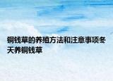 銅錢草的養(yǎng)殖方法和注意事項(xiàng)冬天養(yǎng)銅錢草