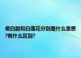 傻白甜和白蓮花分別是什么意思?有什么區(qū)別?