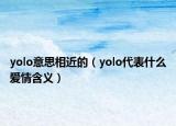 yolo意思相近的（yolo代表什么愛情含義）