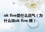 ok fine是什么語氣（為什么說ok fine 梗）