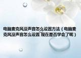 電腦麥克風(fēng)沒(méi)聲音怎么設(shè)置方法（電腦麥克風(fēng)沒(méi)聲音怎么設(shè)置 現(xiàn)在是否學(xué)會(huì)了呢）