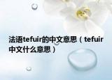 法語tefuir的中文意思（tefuir中文什么意思）