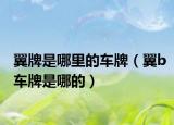 翼牌是哪里的車牌（翼b車牌是哪的）