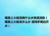 嘴唇上火起泡喝什么水快速消除（嘴唇上火起泡怎么辦 堅持多喝白開水）