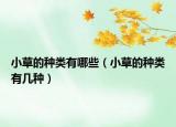 小草的種類有哪些（小草的種類有幾種）