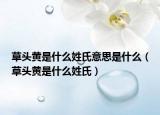 草頭黃是什么姓氏意思是什么（草頭黃是什么姓氏）