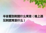 半夜看到刺猬什么寓意（晚上遇見刺猬寓意什么）