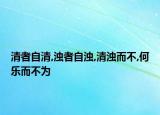 清者自清,濁者自濁,清濁而不,何樂而不為