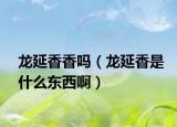 龍延香香嗎（龍延香是什么東西?。? /></span></a>
                        <h2><a href=