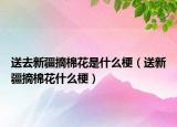 送去新疆摘棉花是什么梗（送新疆摘棉花什么梗）