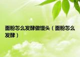 面粉怎么發(fā)酵做饅頭（面粉怎么發(fā)酵）