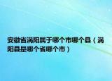 安徽省渦陽屬于哪個市哪個縣（渦陽縣是哪個省哪個市）