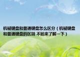 機械鍵盤和普通鍵盤怎么區(qū)分（機械鍵盤和普通鍵盤的區(qū)別 不妨來了解一下）