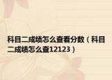 科目二成績怎么查看分?jǐn)?shù)（科目二成績怎么查12123）