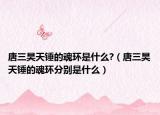 唐三昊天錘的魂環(huán)是什么?（唐三昊天錘的魂環(huán)分別是什么）