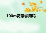 100m寬帶夠用嗎