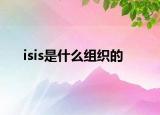 isis是什么組織的