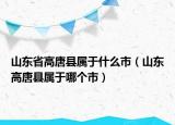 山東省高唐縣屬于什么市（山東高唐縣屬于哪個(gè)市）