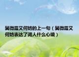 鬢微霜又何妨的上一句（鬢微霜又何妨表達(dá)了詞人什么心境）