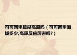 可可西里算是高原嗎（可可西里海拔多少,高原反應(yīng)厲害嗎?）