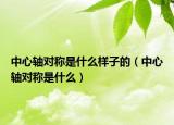 中心軸對(duì)稱(chēng)是什么樣子的（中心軸對(duì)稱(chēng)是什么）