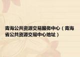 青海公共資源交易服務(wù)中心（青海省公共資源交易中心地址）