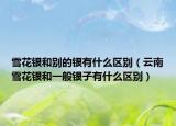 雪花銀和別的銀有什么區(qū)別（云南雪花銀和一般銀子有什么區(qū)別）