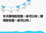 冬天酵母粉發(fā)面一夜可以嗎（酵母粉發(fā)面一夜可以嗎）