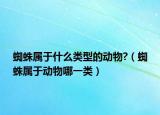 蜘蛛屬于什么類型的動(dòng)物?（蜘蛛屬于動(dòng)物哪一類）