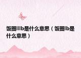 飯圈lllb是什么意思（飯圈lb是什么意思）