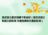 劍靈劍士跟靈劍哪個職業(yè)好（劍靈靈劍士和劍士的區(qū)別 究竟有哪些方面的區(qū)別）