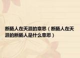 斷腸人在天涯的意思（斷腸人在天涯的斷腸人是什么意思）