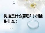 樹(shù)掛是什么意思?（樹(shù)掛指什么）