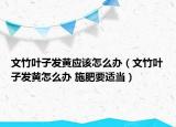 文竹葉子發(fā)黃應(yīng)該怎么辦（文竹葉子發(fā)黃怎么辦 施肥要適當(dāng)）