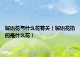 解語花與什么花有關（解語花指的是什么花）