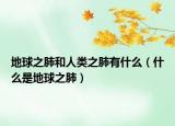 地球之肺和人類之肺有什么（什么是地球之肺）
