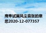 鷹隼試翼風(fēng)塵翕張的意思2020-12-077357