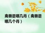 禽獸是哪幾肖（禽獸是哪幾個肖）