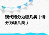 現(xiàn)代詩分為哪幾類（詩分為哪幾類）