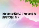 mouse,復數(shù)形式（mouse的復數(shù)形式是什么）